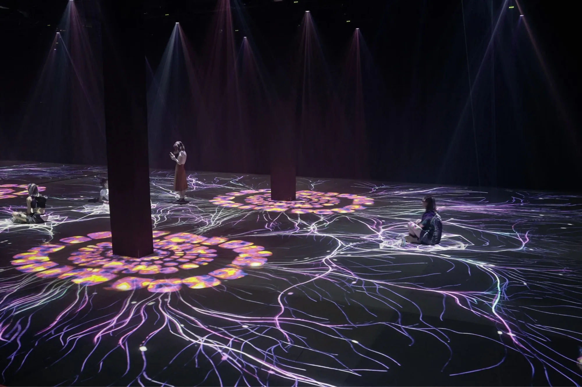 IN TO POLELAB